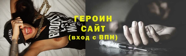твердый Тайга
