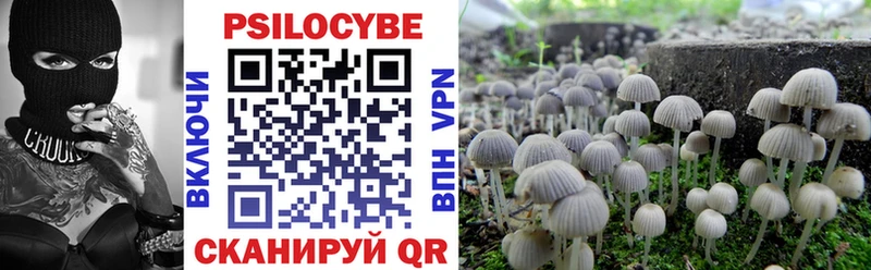 Псилоцибиновые грибы прущие грибы  Сычёвка 